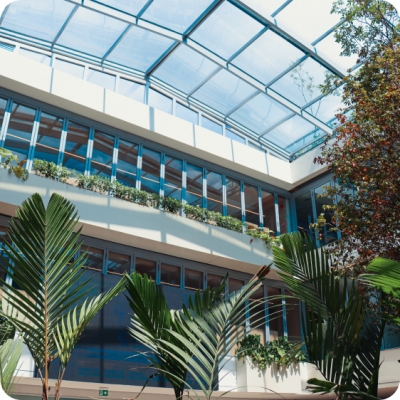 desenvolvimento-profissional-interconexao